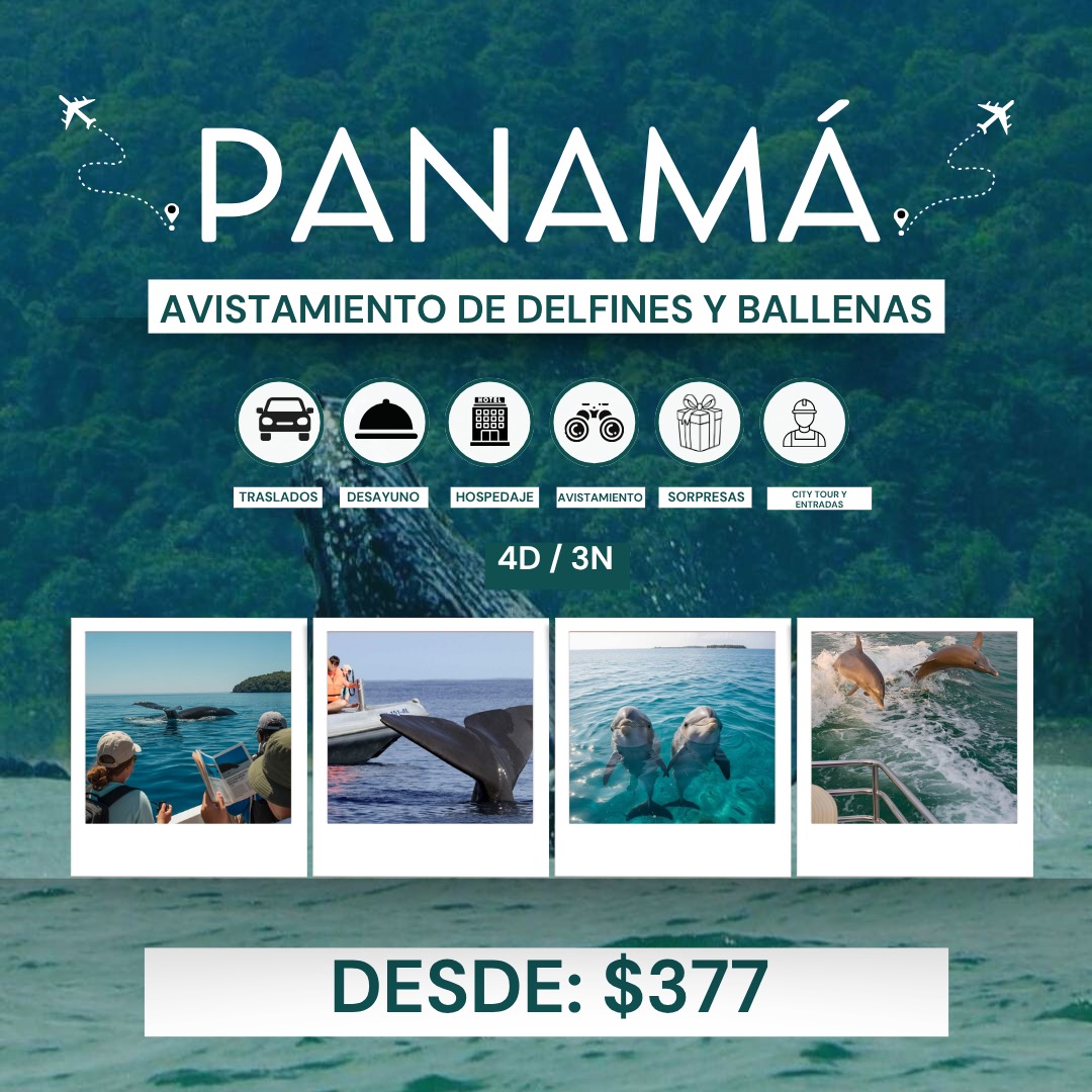 Galería